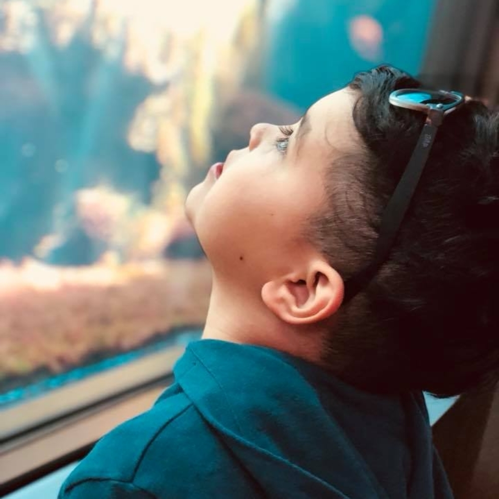 Meet your Posher, Reneè